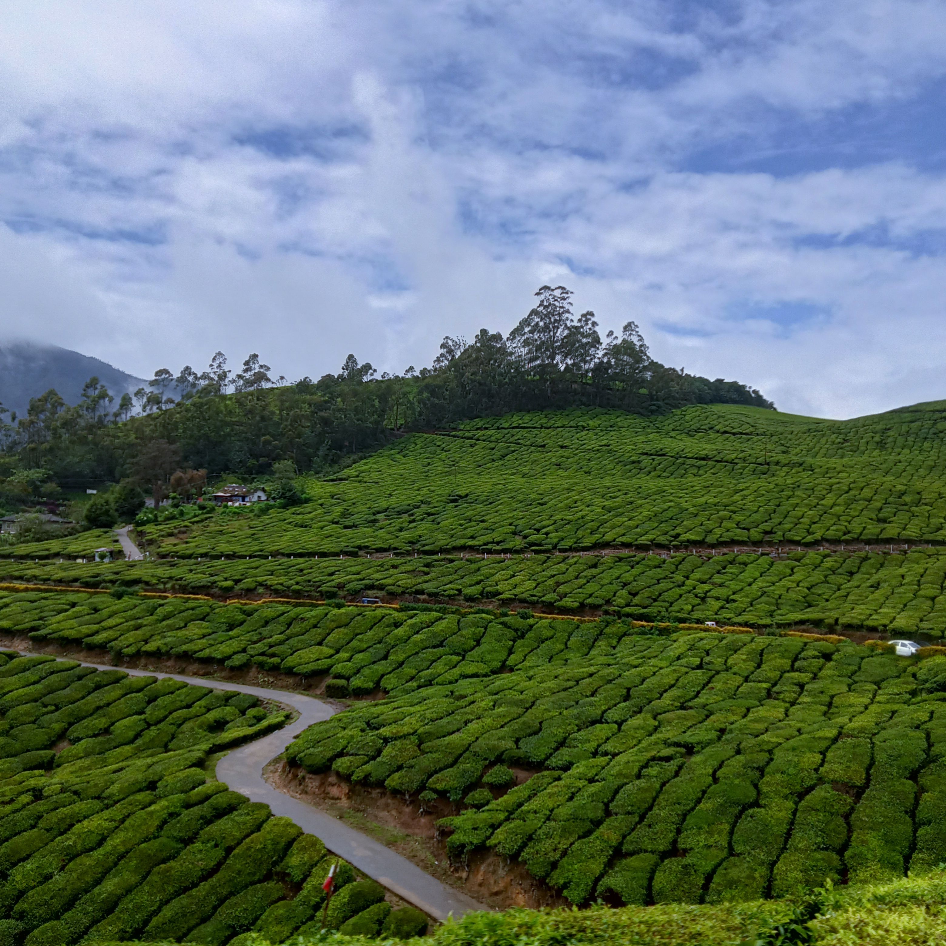 Kerala