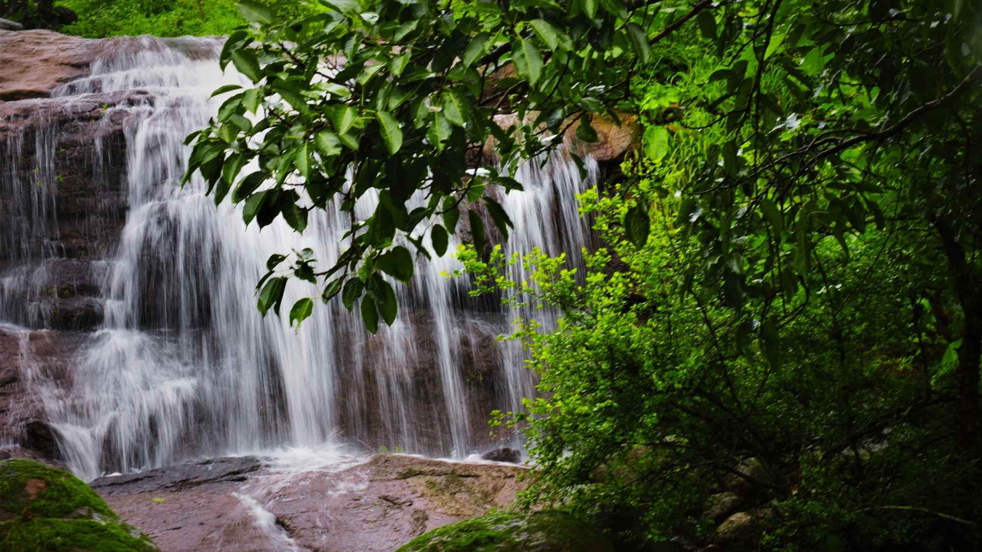 KUSUR PATHAR & BHENDEWADI Waterfall and Jungle Trek