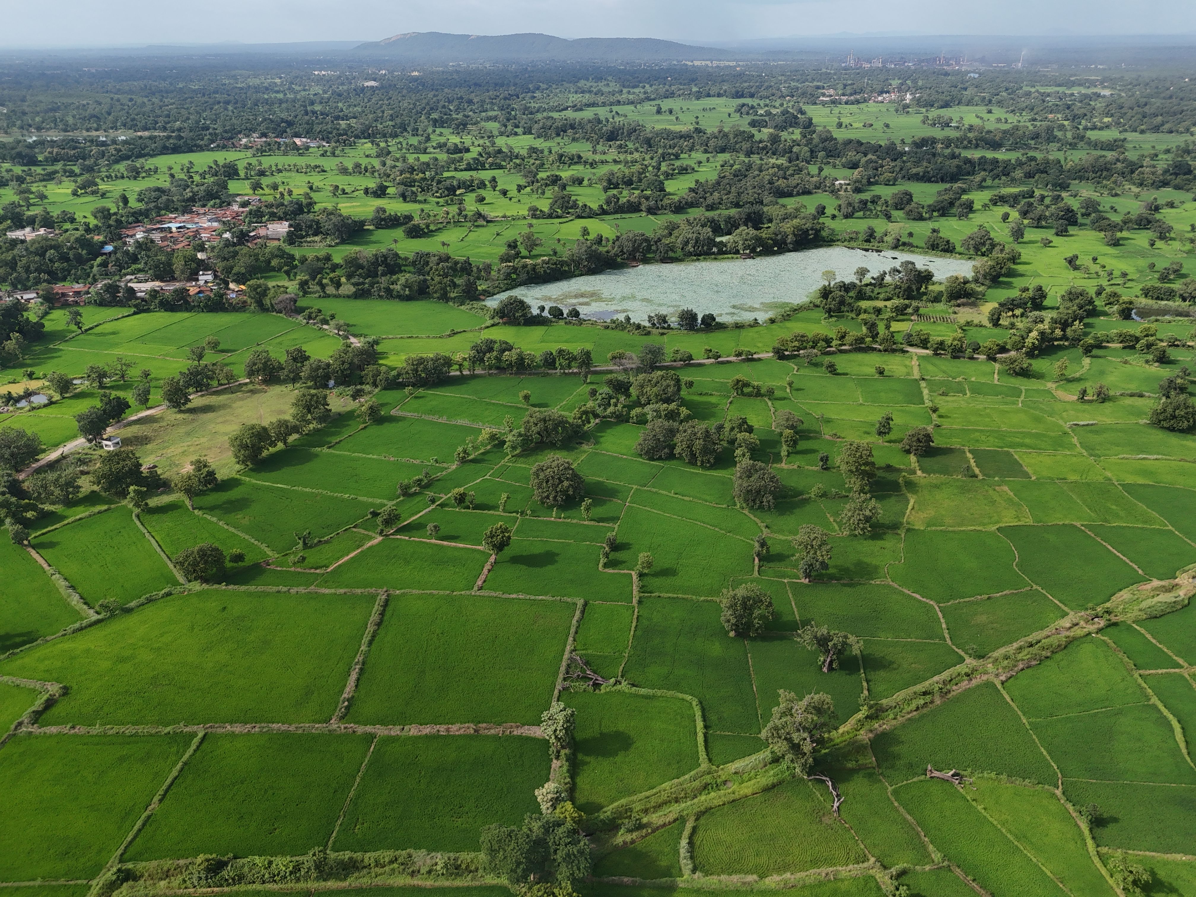 Incredible Wai Tour from satara region